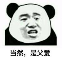 套路