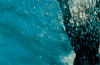 游泳  swimming sports