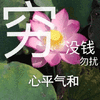 莲花 沙雕莲花 心平气和