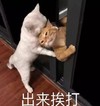 文字表情包 喵星人 猫咪 萌宠 可爱