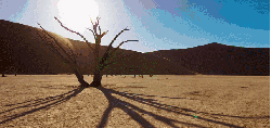 地球脉动 沙漠 纪录片 美 阳光 风景