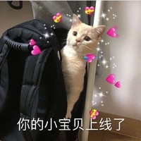 萌宠 猫星人 你的小宝贝上线了 开心 呆萌 可爱