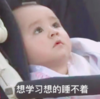本特利 萌娃 想学习想的睡不着 可爱 搞笑 逗