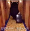 宾馆 开房 伤心 我要离开这个套路的城市