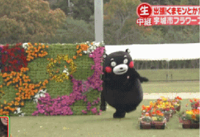熊本 奔跑 花园 踢人