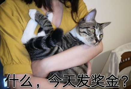 萌宠 可爱 喵星人 逗 文字表情包