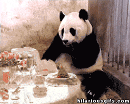 熊猫 有趣的 令人捧腹的 可爱