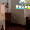 萌宠 可爱 动物