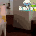 萌宠 可爱 动物