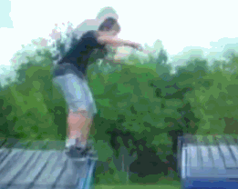 跳跃 绿树 草地 垃圾箱