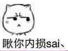猫咪 生气 难过 瞅你内损sai