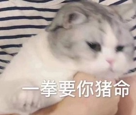 大杂烩 魔性 搞笑 逗 文字表情包