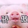 萌宠 猪 骄傲 我厉害吧 可爱 机灵