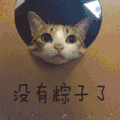 萌宠 喵星人 没有粽子 懒得理你