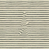 黑白的 black   线条 动画