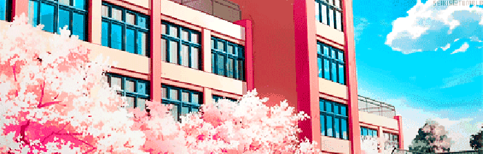 樱花树 开花 风景 漂亮