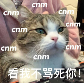 搞笑 可爱 蠢萌 猫星人 逗