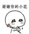 美丽 送你一朵花 恶搞 谢谢你的小花