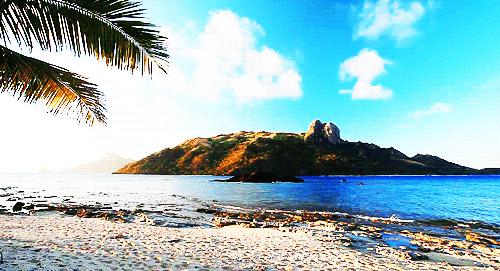 海滩 自然 斐济群岛 浪花 椰树 beach nature