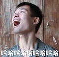哈哈哈 斗图 搞笑 大笑 逗逼