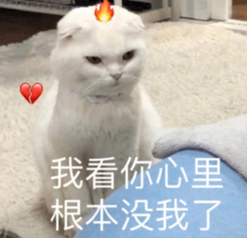 搞笑 可爱 蠢萌 猫星人 逗