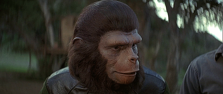 猩球崛起 电影 交谈 人猿星球