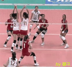 中国女排 冠军 惠若琪 排球 运动员