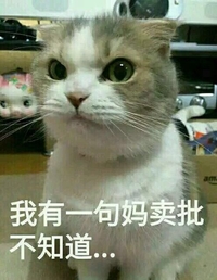 猫咪 喵星人 我有一句妈卖批不知道 斗图 搞笑 严肃