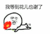 搞笑 鲜花 微信搞笑 我等到花儿也谢了