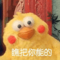 鹦鹉兄弟 搞怪 瞧把你能的