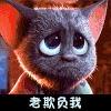 老欺负我 委屈 哭出来 猫咪