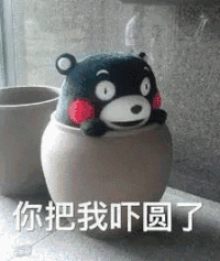 熊本熊 你把我吓圆了 斗图 可爱 萌萌哒