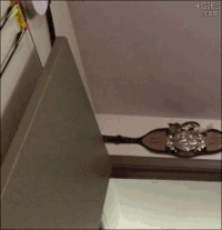松鼠 享受 满足 逗比