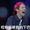 鹿晗 鹿小花 搞笑 滑稽 我的下巴
