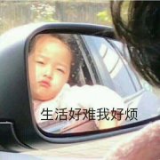 丧 丧逼 丧逼表情包