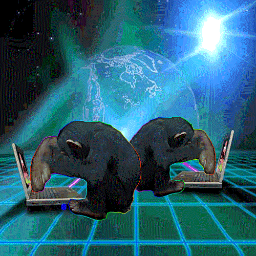 猩猩 玩电脑 动物 可爱