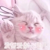 萌宠 喵星人 发誓爱你一辈子 永远爱你 可爱 憨憨
