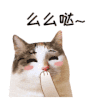 猫咪 么么哒 爱心 飞吻 可爱