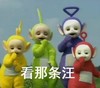 看那条汪 天线宝宝 哈哈 单身狗