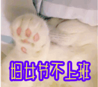 妇女节不上班 猫咪 睡觉 撒娇