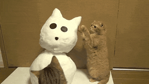 猫咪 玩耍 雪人 吓一跳