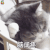 萌宠 猫咪 猫 伤心 脑壳疼 脑阔疼 soogif soogif出品