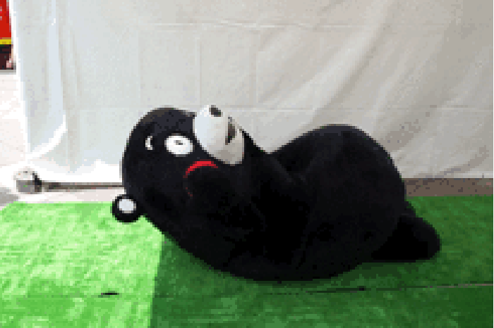 熊本熊 躺着 仰卧起坐 红脸蛋