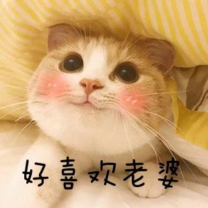 夜店风嗨老婆图片_夜店风嗨老婆动态图_夜店风嗨老婆表情包gif动图