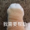 萌宠 猫星人 我需要帮助 求助 呆萌 可爱