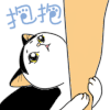 猫猫 可爱 撒娇 抱抱 抱