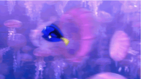 海底 小鱼 水母 动画