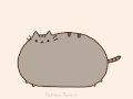 猫 肥胖 跳跃 动画 pusheen