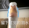 萌宠 猫星人 留下贫穷的泪水 难受 呆萌 可爱