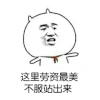 金馆长 搞笑 逗比 可爱 这里劳资最美不服站出来